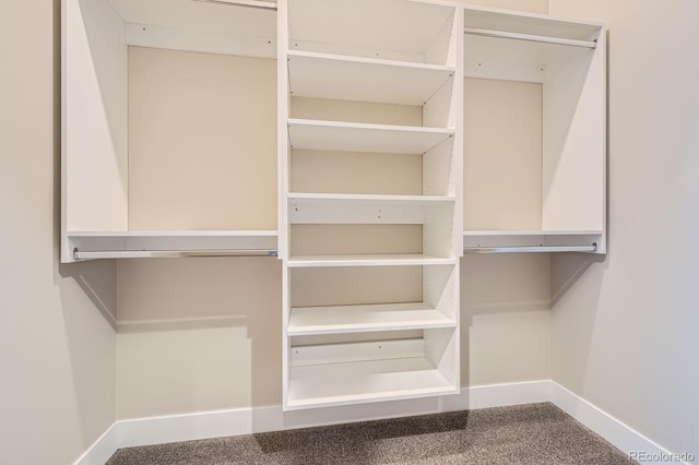 268 Simmental Loop, Castle Rock, CO 80104 - view of closet