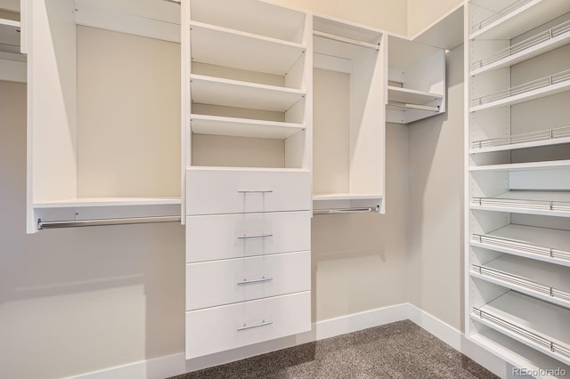 268 Simmental Loop, Castle Rock, CO 80104 - view of walk in closet
