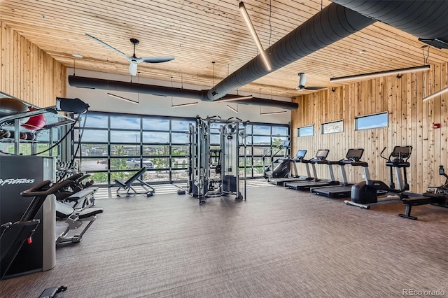 268 Simmental Loop, Castle Rock, CO 80104 - gym with wooden walls and wood ceiling