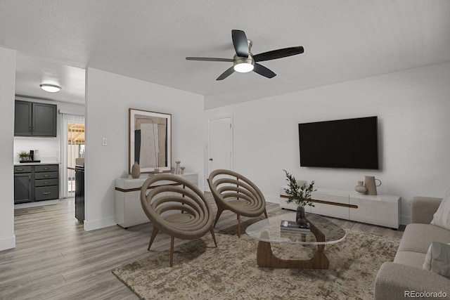 8381 Vine St, Denver, CO 80229 - living room featuring light wood-type flooring, a ceiling fan, and a textured ceiling