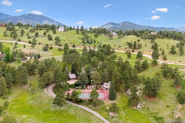 33208 Alta Vista Dr, Evergreen, CO 80439 - photo 5