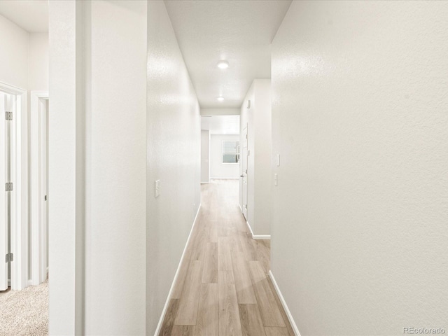 hallway featuring light hardwood / wood-style floors