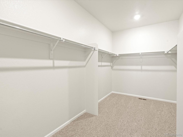 walk in closet with carpet floors