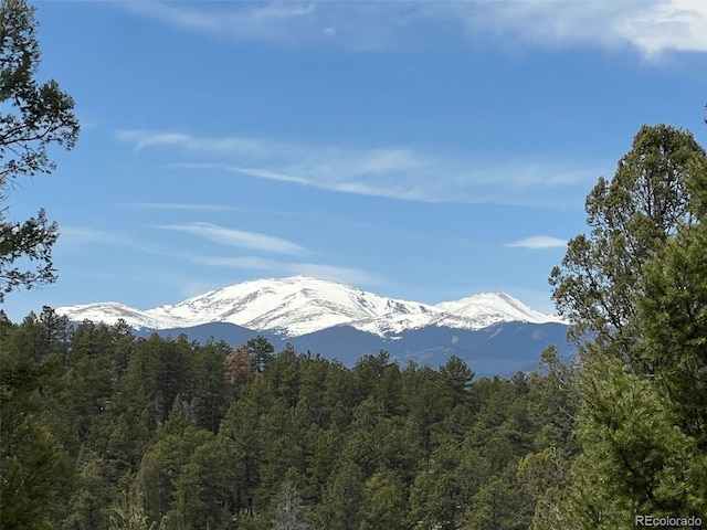 29548 Sunset Trl, Pine, CO 80470 - view of mountain feature featuring a wooded view