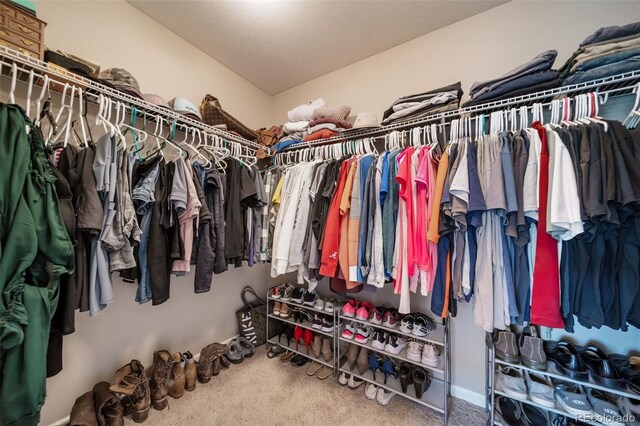 spacious closet featuring carpet