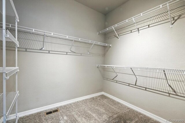 8205 Birch Tree Loop, Colorado Springs, CO 80927 - walk in closet with carpet flooring