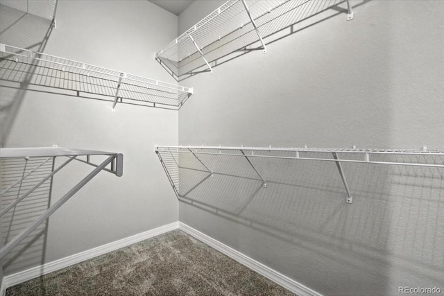 8205 Birch Tree Loop, Colorado Springs, CO 80927 - spacious closet featuring carpet flooring