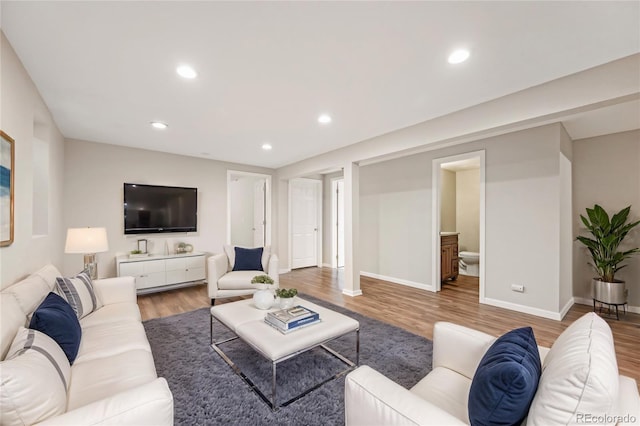 living room with wood-type flooring