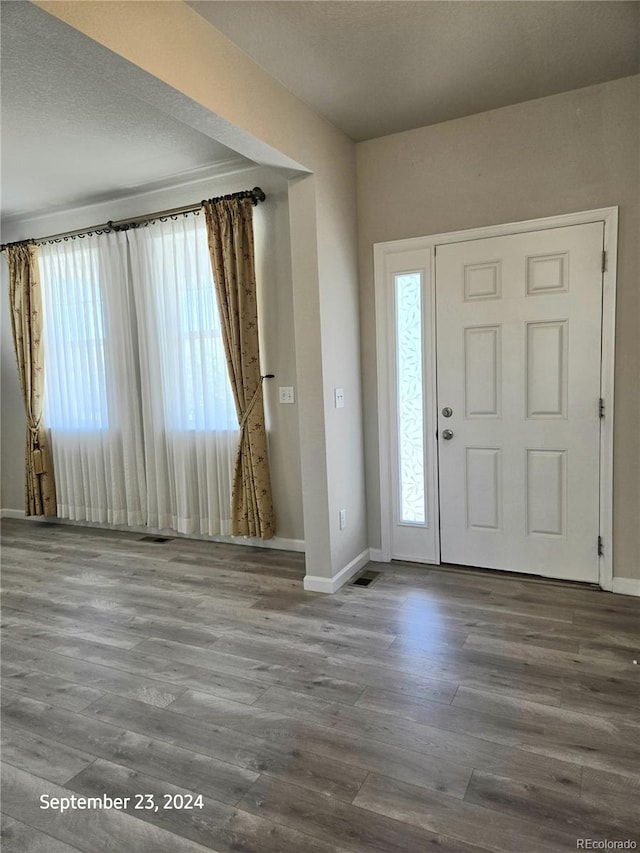 foyer with wood-type flooring