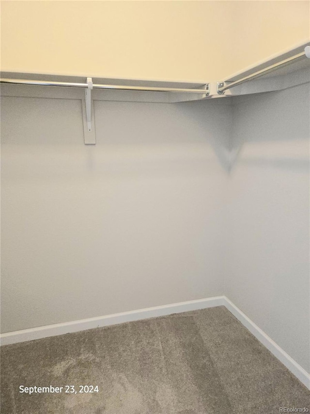 walk in closet featuring carpet floors