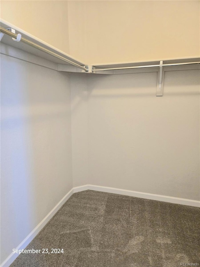 spacious closet featuring carpet