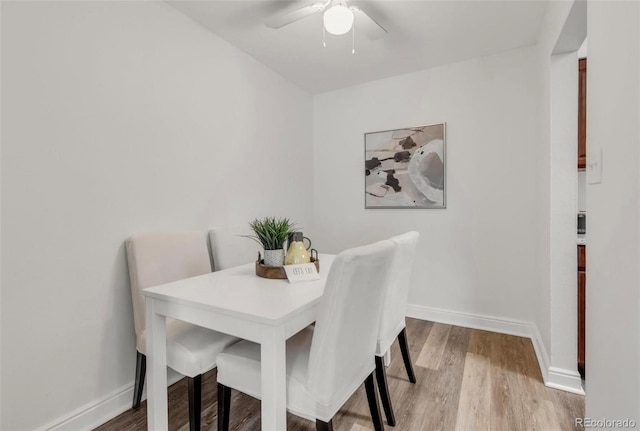 dining room with ceiling fan and light hardwood / wood-style floors