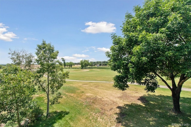 1123 Oakhurst Dr, Broomfield, CO 80020 - photo 43