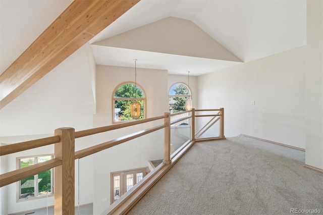 1123 Oakhurst Dr, Broomfield, CO 80020 - photo 28