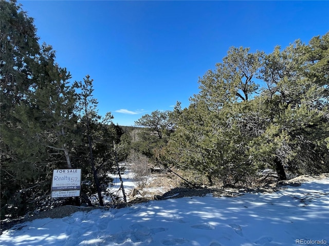 Listing photo 2 for 238 Lake Of The Falls Pkwy, Mosca CO 81146