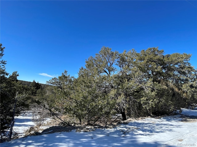 238 Lake Of The Falls Pkwy, Mosca, CO 81146 - photo 12