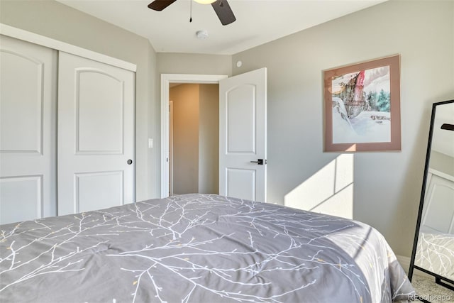 10719 Hidden Pool Hts, Colorado Springs, CO 80908 - photo 39