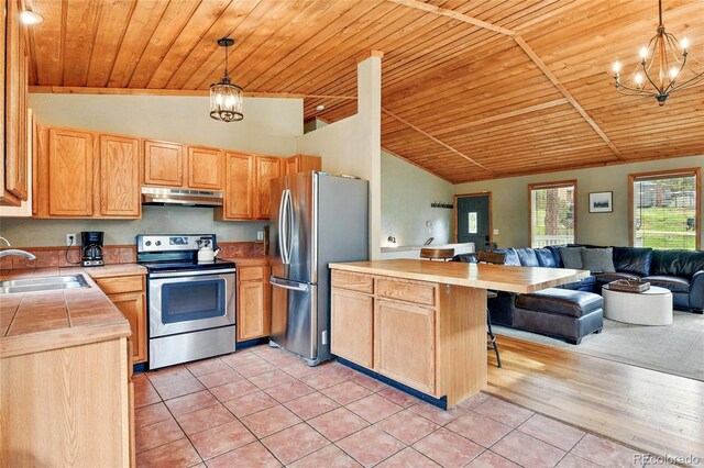294 Kudu Trl, Bailey, CO 80421 - kitchen featuring appliances with stainless steel finishes, open floor plan, a sink, under cabinet range hood, and wooden ceiling