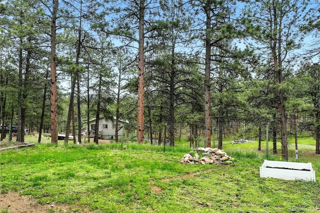 294 Kudu Trl, Bailey, CO 80421 - view of yard