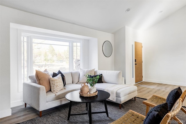 living room featuring baseboards and wood finished floors