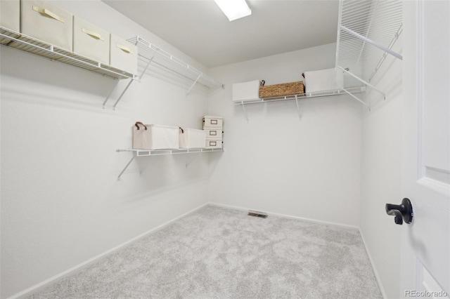 4520 Maroon Cir, Broomfield, CO 80023 - walk in closet featuring carpet floors