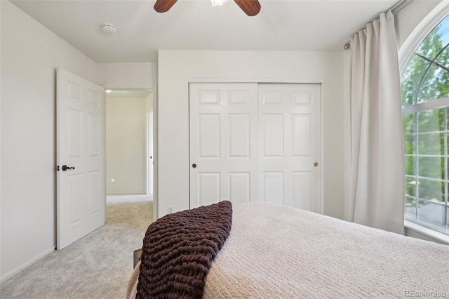 4520 Maroon Cir, Broomfield, CO 80023 - bedroom featuring carpet floors, a closet, ceiling fan, and baseboards