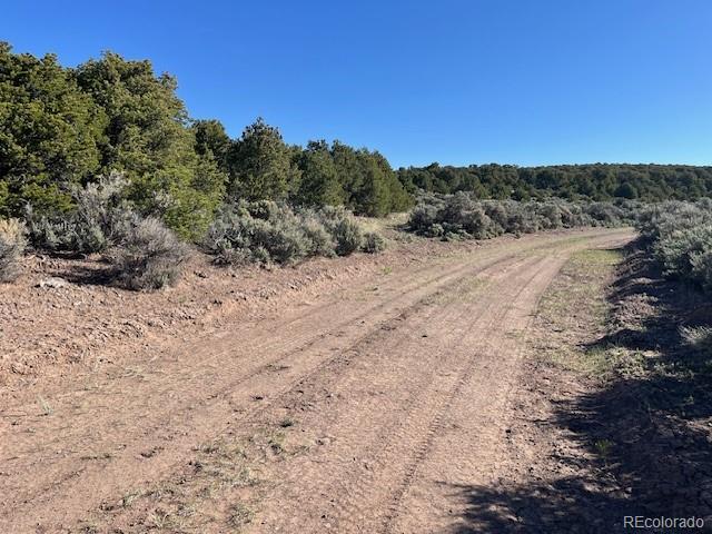 LOT4 Elk Park Rd, San Luis, CO 81152 - photo 4