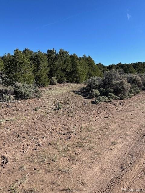 LOT4 Elk Park Rd, San Luis, CO 81152 - photo 5