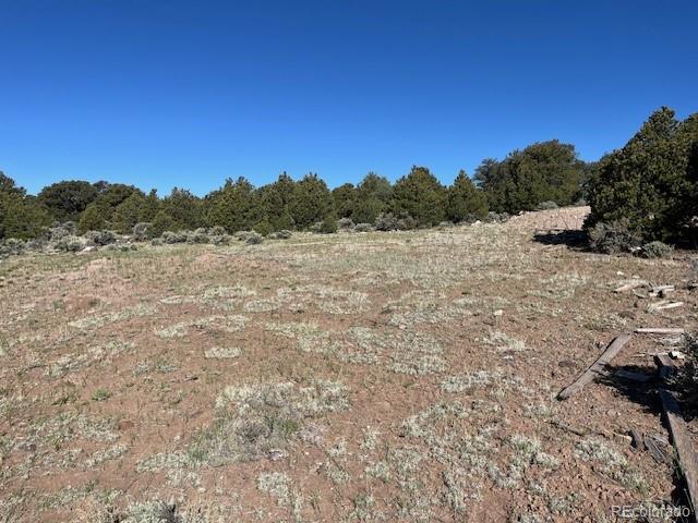 LOT4 Elk Park Rd, San Luis, CO 81152 - photo 7