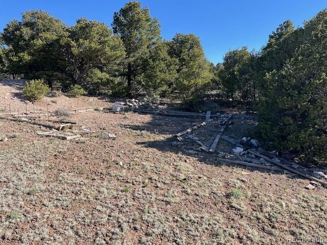LOT4 Elk Park Rd, San Luis, CO 81152 - photo 9