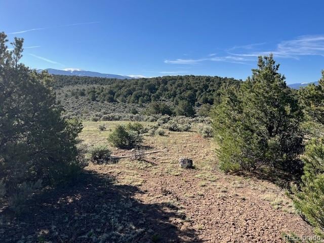 LOT4 Elk Park Rd, San Luis, CO 81152 - photo 10