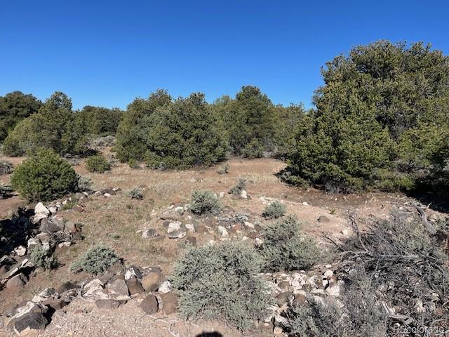 LOT4 Elk Park Rd, San Luis, CO 81152 - photo 11