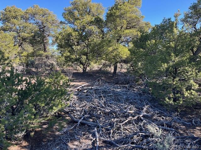 LOT4 Elk Park Rd, San Luis, CO 81152 - photo 12