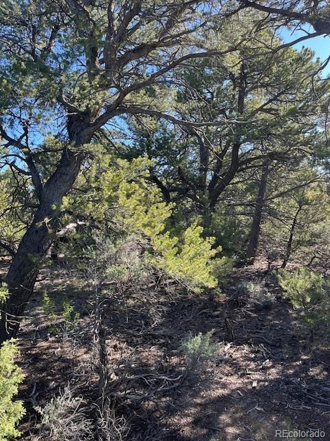 LOT4 Elk Park Rd, San Luis, CO 81152 - photo 13