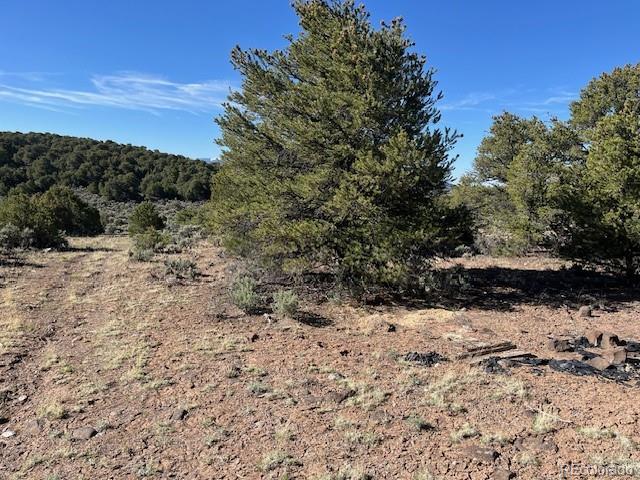 LOT4 Elk Park Rd, San Luis, CO 81152 - photo 14