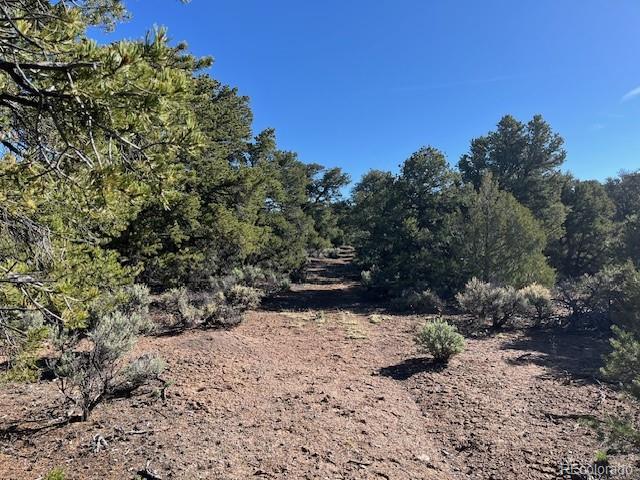 LOT4 Elk Park Rd, San Luis, CO 81152 - photo 15