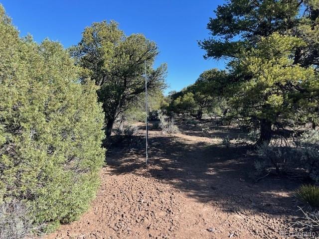 LOT4 Elk Park Rd, San Luis, CO 81152 - photo 16