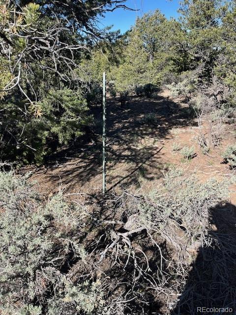 LOT4 Elk Park Rd, San Luis, CO 81152 - photo 17