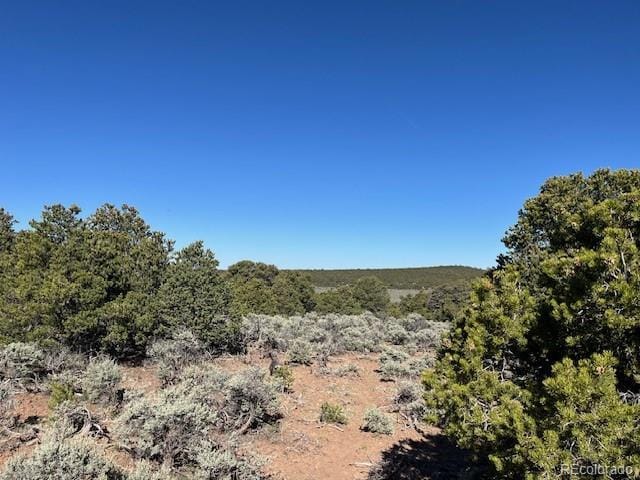 LOT4 Elk Park Rd, San Luis, CO 81152 - photo 18