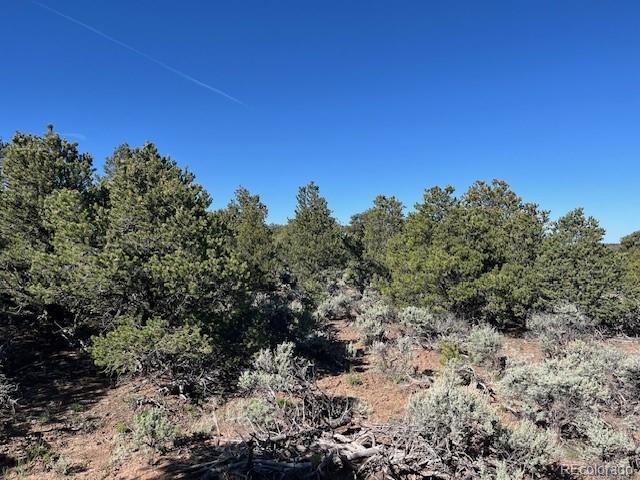 LOT4 Elk Park Rd, San Luis, CO 81152 - photo 19