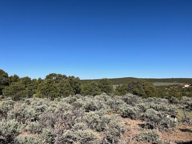 LOT4 Elk Park Rd, San Luis, CO 81152 - photo 20