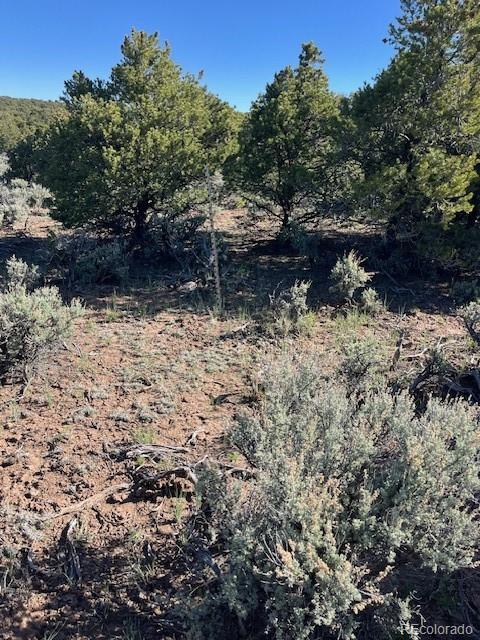 LOT4 Elk Park Rd, San Luis, CO 81152 - photo 21