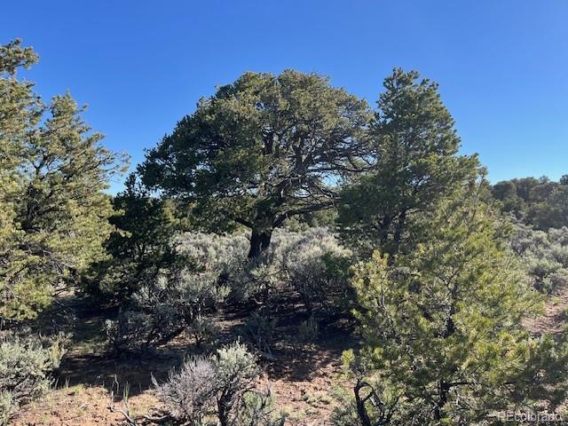 LOT4 Elk Park Rd, San Luis, CO 81152 - photo 22