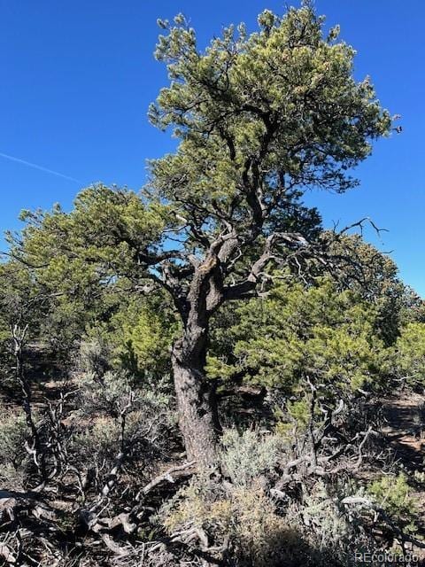 LOT4 Elk Park Rd, San Luis, CO 81152 - photo 23