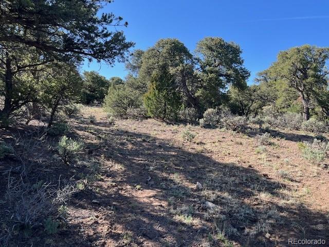 LOT4 Elk Park Rd, San Luis, CO 81152 - photo 25