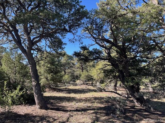 LOT4 Elk Park Rd, San Luis, CO 81152 - photo 26
