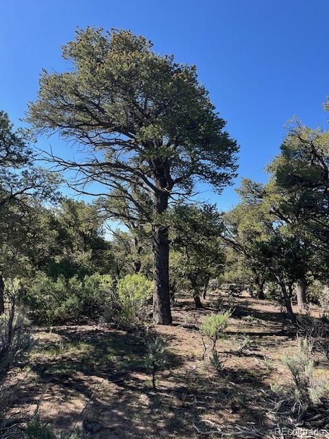 LOT4 Elk Park Rd, San Luis, CO 81152 - photo 27