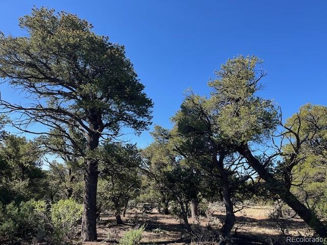 LOT4 Elk Park Rd, San Luis, CO 81152 - photo 28