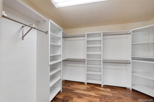 walk in closet with wood finished floors