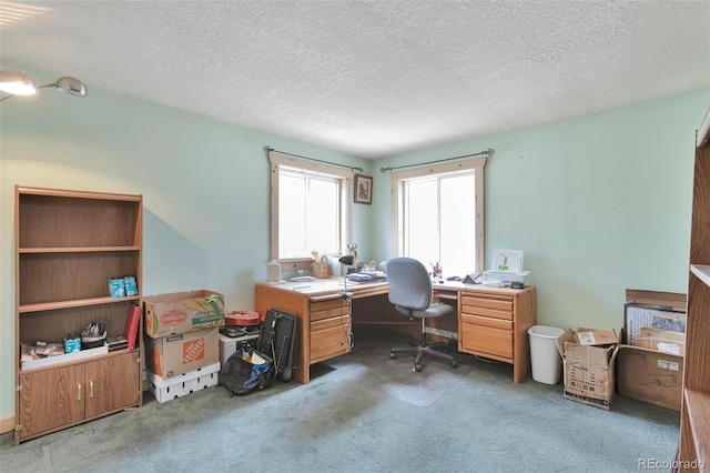 10771 Winding Meadow Dr, Kiowa, CO 80117 - office space featuring dark colored carpet and a textured ceiling